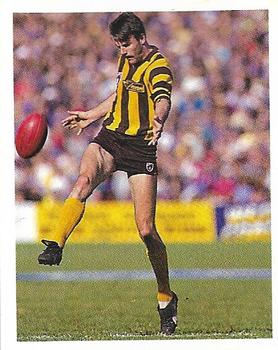 1993 Select AFL Stickers #141 Andrew Gowers Front